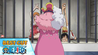 One Piece Best Cut Tập 813 Cuộc đối đầu định Mệnh Pops