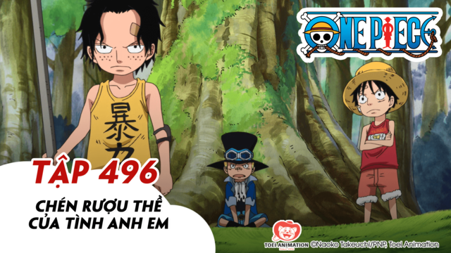 One Piece S14 - Tập 496: Chén Rượu Thề Của Tình Anh Em | Pops