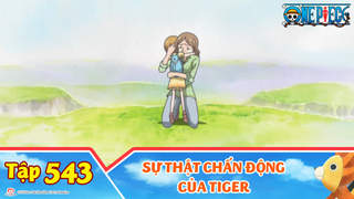 One Piece S15 Tập 543 Sự Thật Chấn động Của Tiger Pops