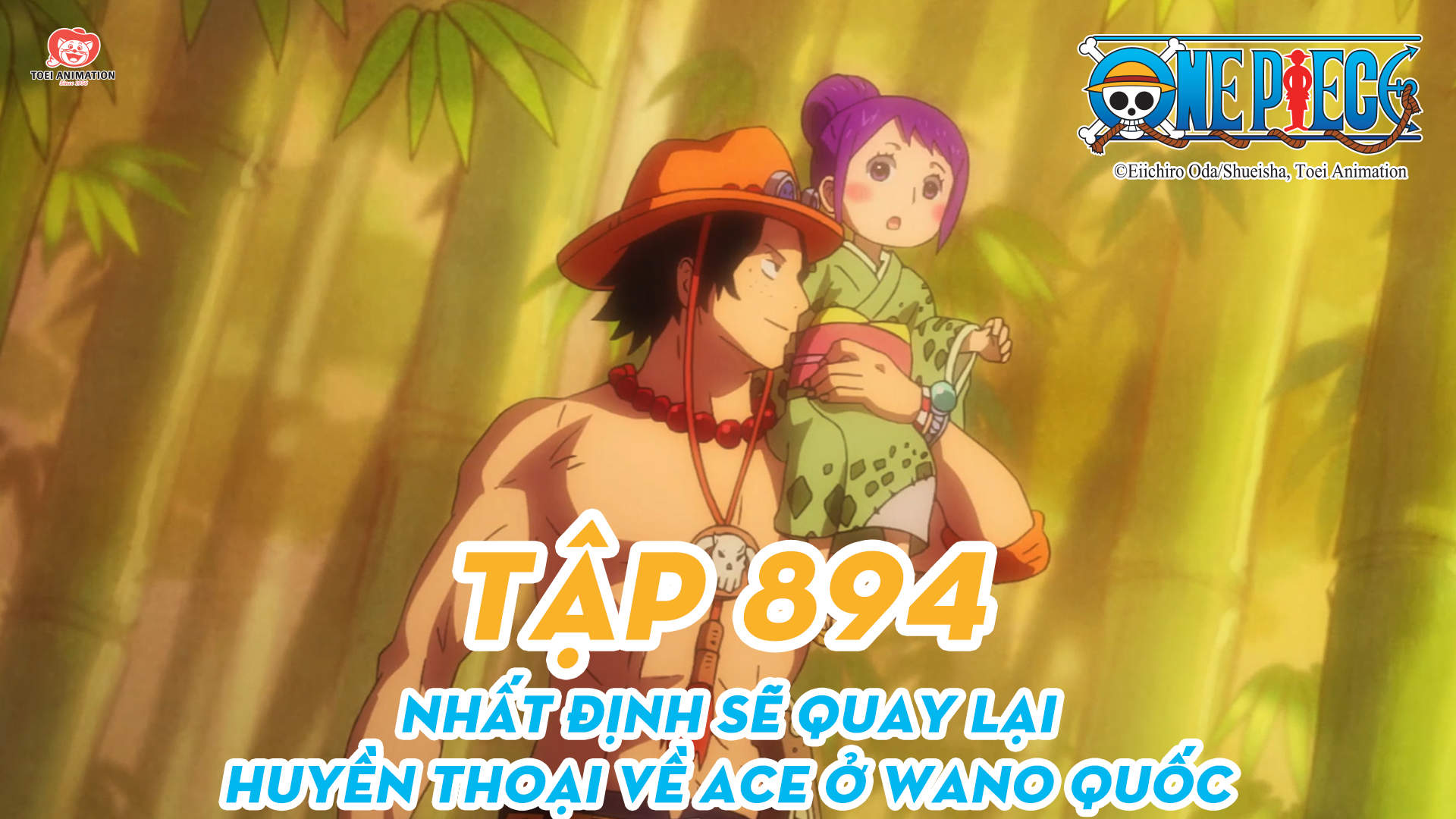 One piece new arrivals 894 full episode