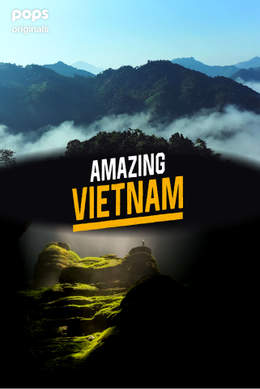 Amazing Vietnam | เวียดนามสุดอัศจรรย์