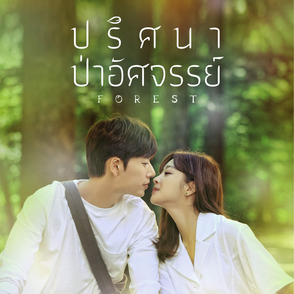 ปริศนา ป่าอัศจรรย์ | Forest ปริศนา ป่าอัศจรรย์ | Forest