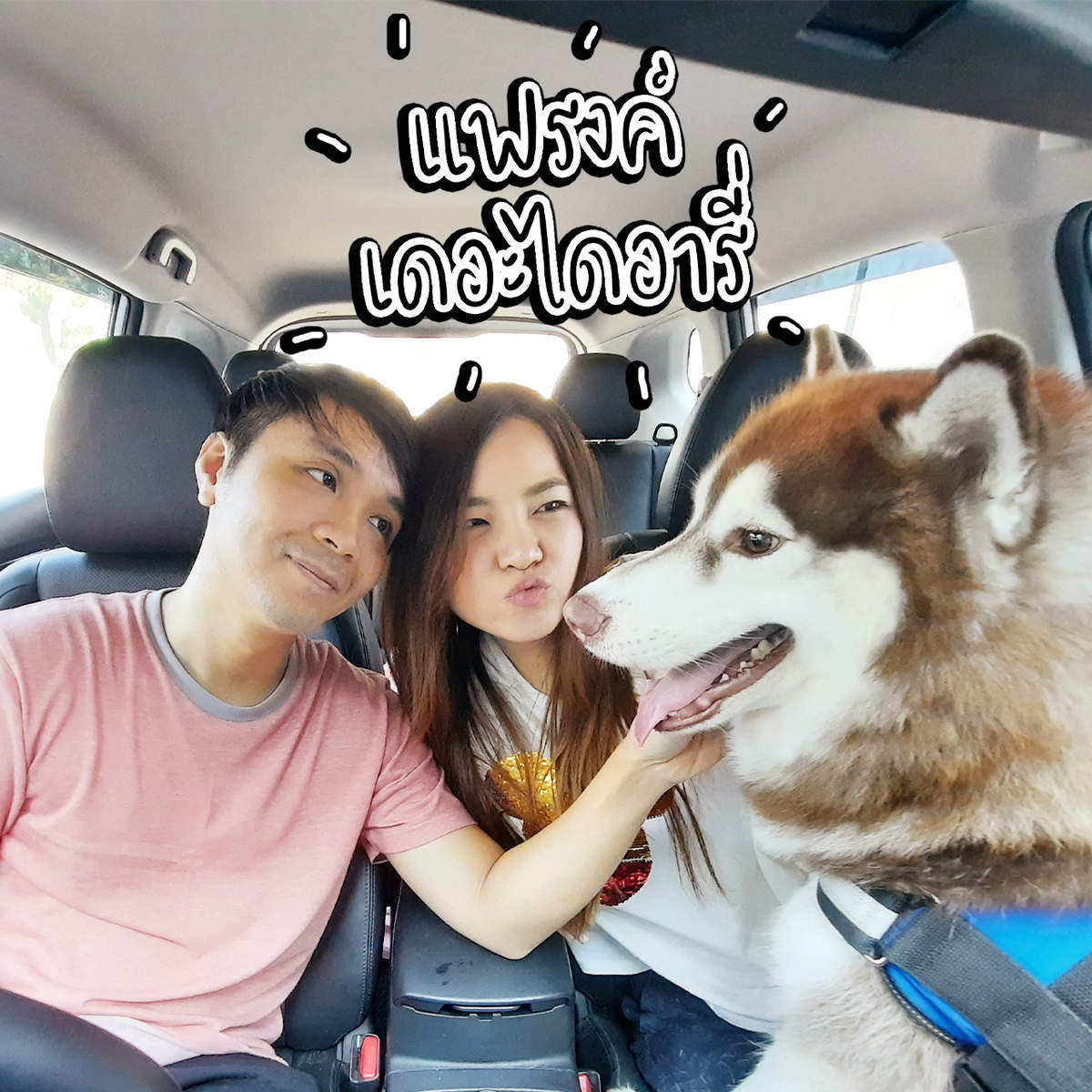 แฟรงค์ เดอะไดอารี่ แฟรงค์ เดอะไดอารี่