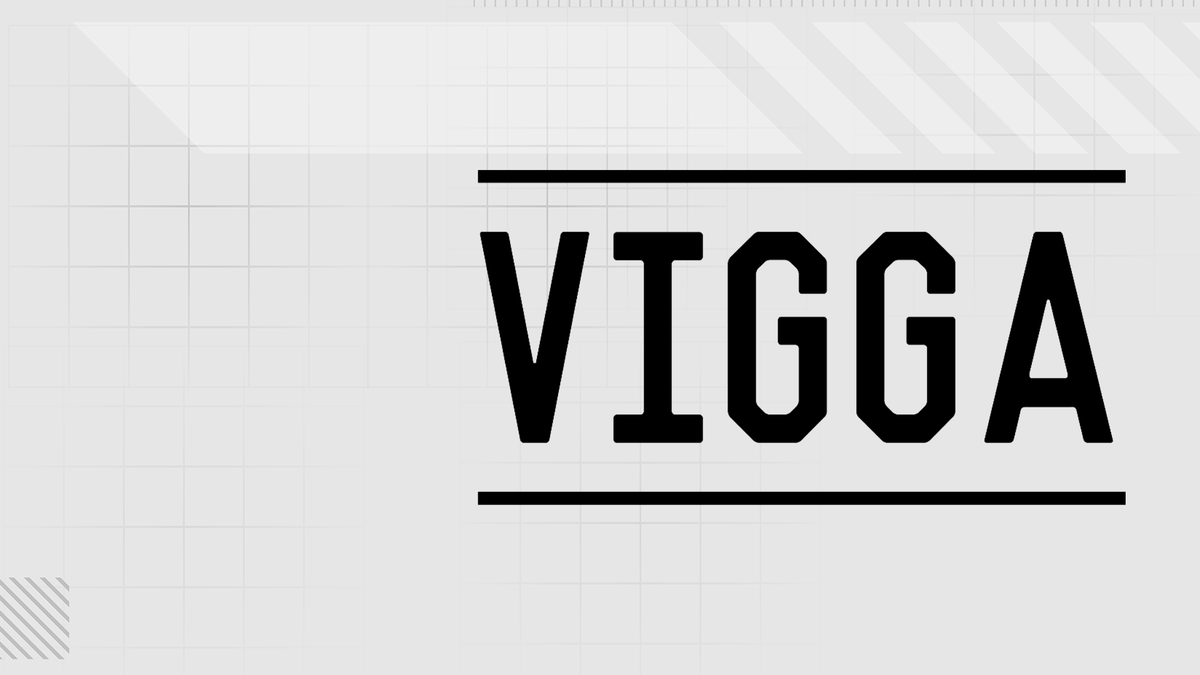 Vigga Official
